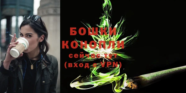 шишки Беслан