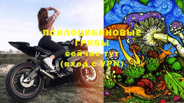 2c-b Верея