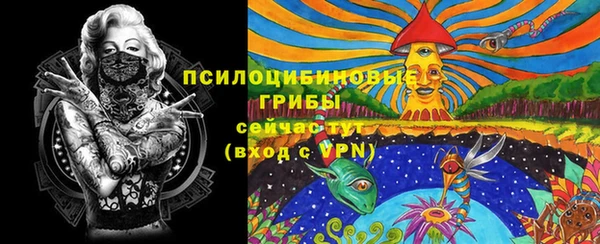 стафф Бородино