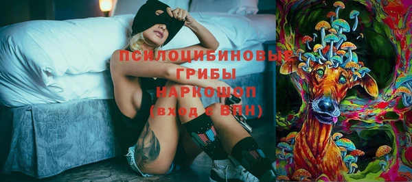 2c-b Верея