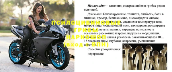 стафф Бородино
